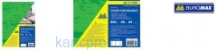 Обложка картонная "под кожу" А4 250г/м2, зеленая BM.0580-04