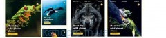 Тетрадь 60л # Твердая ТЕ21604 WILD Тетрада