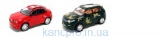 Машинка 6000-20-R800-30 (60шт) инер-я, 2 вида, в кульке, 30-13,5-11см