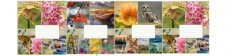 Тетрадь 18 # ПРИРОДА  20212 Метінвест Тетрада