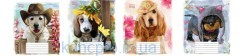 Тетрадь 18=   Мрия (2562) NEW