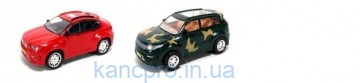 Машинка 6000-20-R800-30 (60шт) инер-я, 2 вида, в кульке, 30-13,5-11см