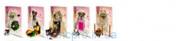 Тетрадь 12л = ТВ47/ 4D  №5001 Dogs-1