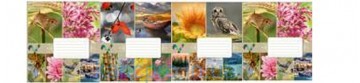 Тетрадь 18 # ПРИРОДА  20212 Метінвест Тетрада