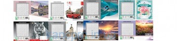 Тетрадь 12л # Твердая 91190 МИКС1 Тетрада