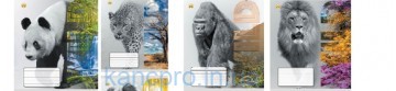 Тетрадь 24л = Твердая ТЕ52314 ДИКІ ЗВІРІ Тетрада
