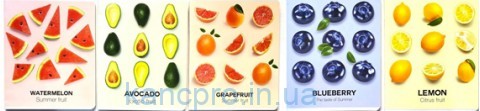 Тетрадь 96л # ПРЕМИУМ CONGREVFRUITS  ТЕ13132  Тетрада