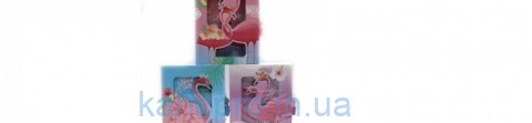 Блокн. в кор.с замочком "Flamingo" 16*12,7cm 50p 70g mix3 линия 1шт/эт
 DSCN2323