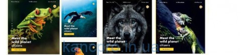 Тетрадь 60л # Твердая ТЕ21604 WILD Тетрада