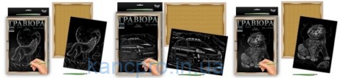 Гравюра 297 x 210 " А4 + РАМКА!!!! " зол./серебро 18 видов ассорти в уп.Danko Toys