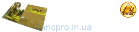 Альбом клееный А3  30/120 ТЕТРАДА (Профессионал)