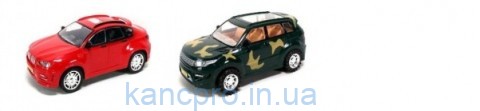 Машинка 6000-20-R800-30 (60шт) инер-я, 2 вида, в кульке, 30-13,5-11см
