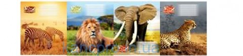 Тетрадь 60л # Люкс 11673 ДИКУНИ Тетрада