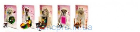 Тетрадь 12л = ТВ47/ 4D  №5001 Dogs-1