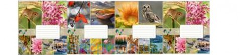Тетрадь 18 # ПРИРОДА  20212 Метінвест Тетрада