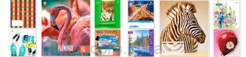 Тетрадь 96л # Твердая ТЕ01789 МИКС4  Тетрада