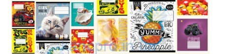 Тетрадь 12л // Твердая ТЕ53116 МІКС1 Тетрада